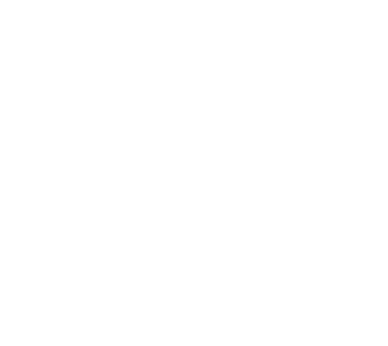 Tried and True Charters Logo